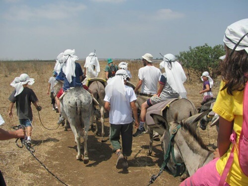 אטרקציות חאן אל על
